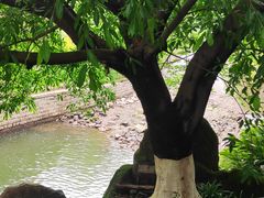 -重庆彩云湖湿地公园