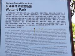 -东郊湿地公园