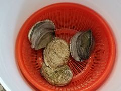 -海九澎湖海鲜餐厅