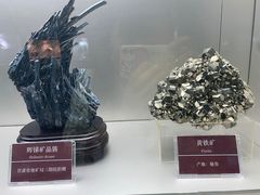 -甘肃地质博物馆