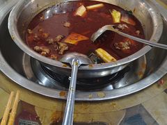 -佘记全家福芋儿鸡(向阳街总店)