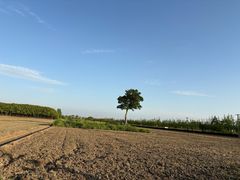 -嘉北郊野公园