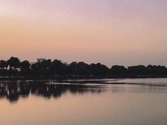 -大湾区中央湿地公园