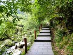 -藏龙百瀑风景区