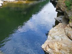 -黑河国家森林公园
