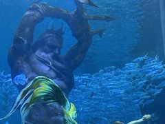 -哈尔滨波塞冬海底世界