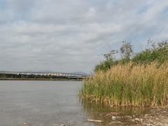 -绿堤公园