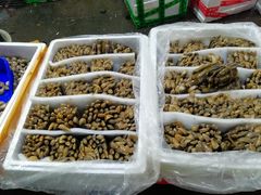 -马王堆海鲜水产市场