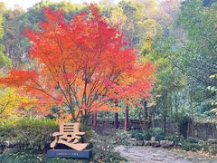 -大慈岩风景区