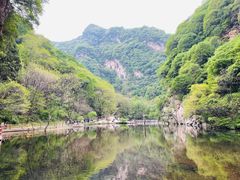 -少华山国家森林公园