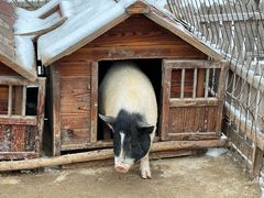-清河半岛温泉度假酒店