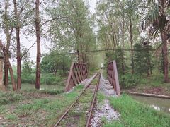 -合肥滨湖国家森林公园