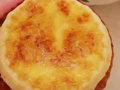 招牌鲜奶蛋挞-顺风山庄(水濂山店)