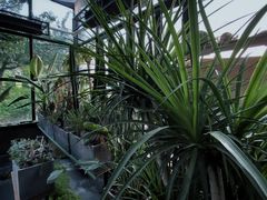 -北马山庄植趣咖啡