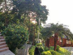 -放鸡岛生态旅游国际度假区