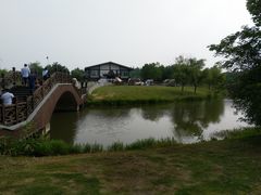 -南湖湿地公园