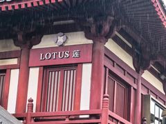 -莲西餐