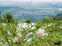 -九龙潭景区