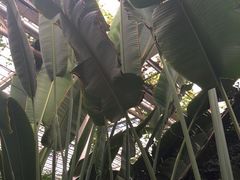 iphone_upload_pic-龙达温泉生态城