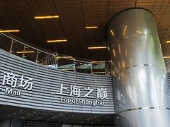 -上海中心大厦