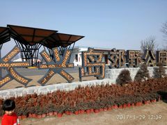 -上海长兴岛郊野公园