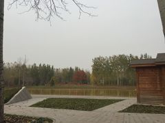 -仁和公园(顺义区)