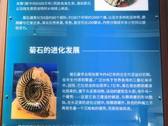 -贝壳王国博物馆