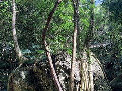 -七仙岭温泉国家森林公园