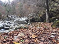 -青峰峡国家森林公园