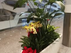 -溪涌潮天下餐厅(麓湾国际公馆店)