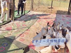 -武汉紫薇都市田园