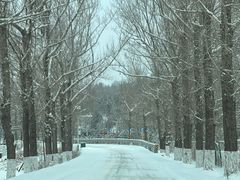 -塞罕坝国家级自然保护区