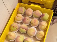 -老袁家蜜桃农场·阳山水蜜桃