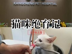 -康成宠物医院24H·CT·核磁共振