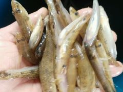 -八仔大富楼·河鲜(西江店)