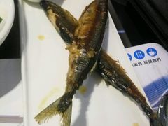 -法兰度航空主题餐厅(河源店)