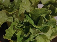 -厚贞日式烤肉(浦东汇智店)