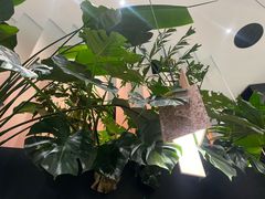 -渔芙南(三里屯店)