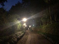 -法云安缦酒店