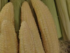 -巴奴毛肚火锅(龙湖锦艺城店)