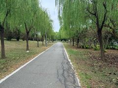 -金银湖国家城市湿地公园