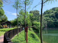 -王借岗森林公园