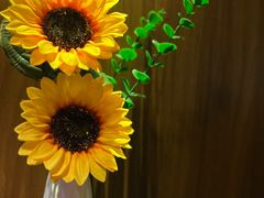-莲花国际广场