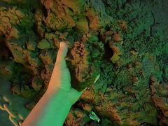 -八奇洞景区