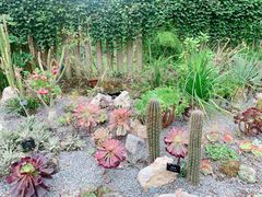 -中国科学院西双版纳热带植物园