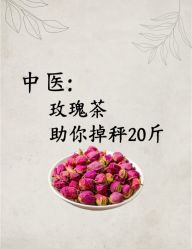 -Fundi张玉珊修身堂·indiba·BTL科技瘦身