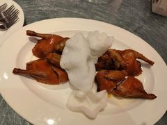 金牌乳鸽-鲍鱼王子(深圳大厦店)