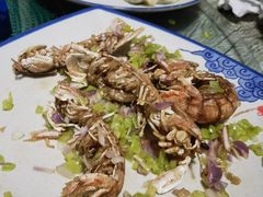 -渔家小院观海海肠捞饭地方菜(环海中路店)