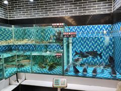 -农汤老店(顺联公园里店)