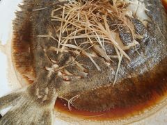 清蒸多宝鱼-胶东海鲜大排档(北太平庄店)